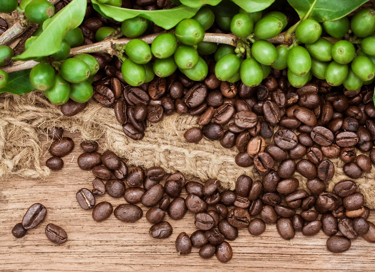 coffee_import.jpg