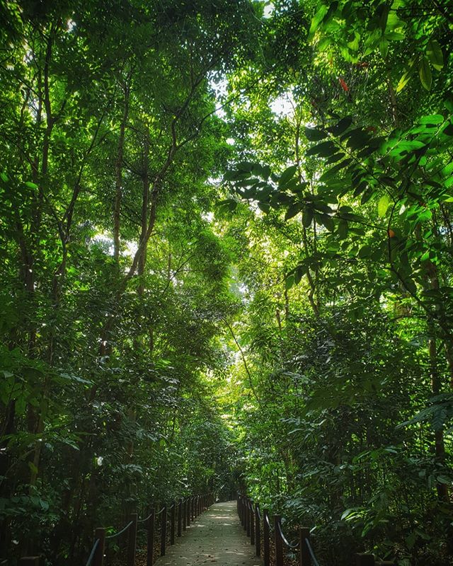 There's something absolutely inviting about this trail at my new fav city. Can't wait to head back soon again 🥂🌿 .
.
. .
.
.
.
.
.
.
#nationaldestinations&nbsp;&nbsp;#destinationearth&nbsp;#awesomepix#earthawesome&nbsp;#fantastic_earth#thebeautiful