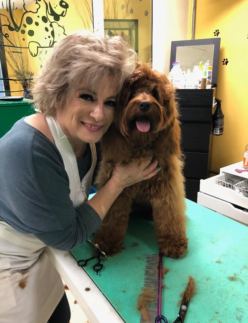 Perfect Pups Spa, business photo 4