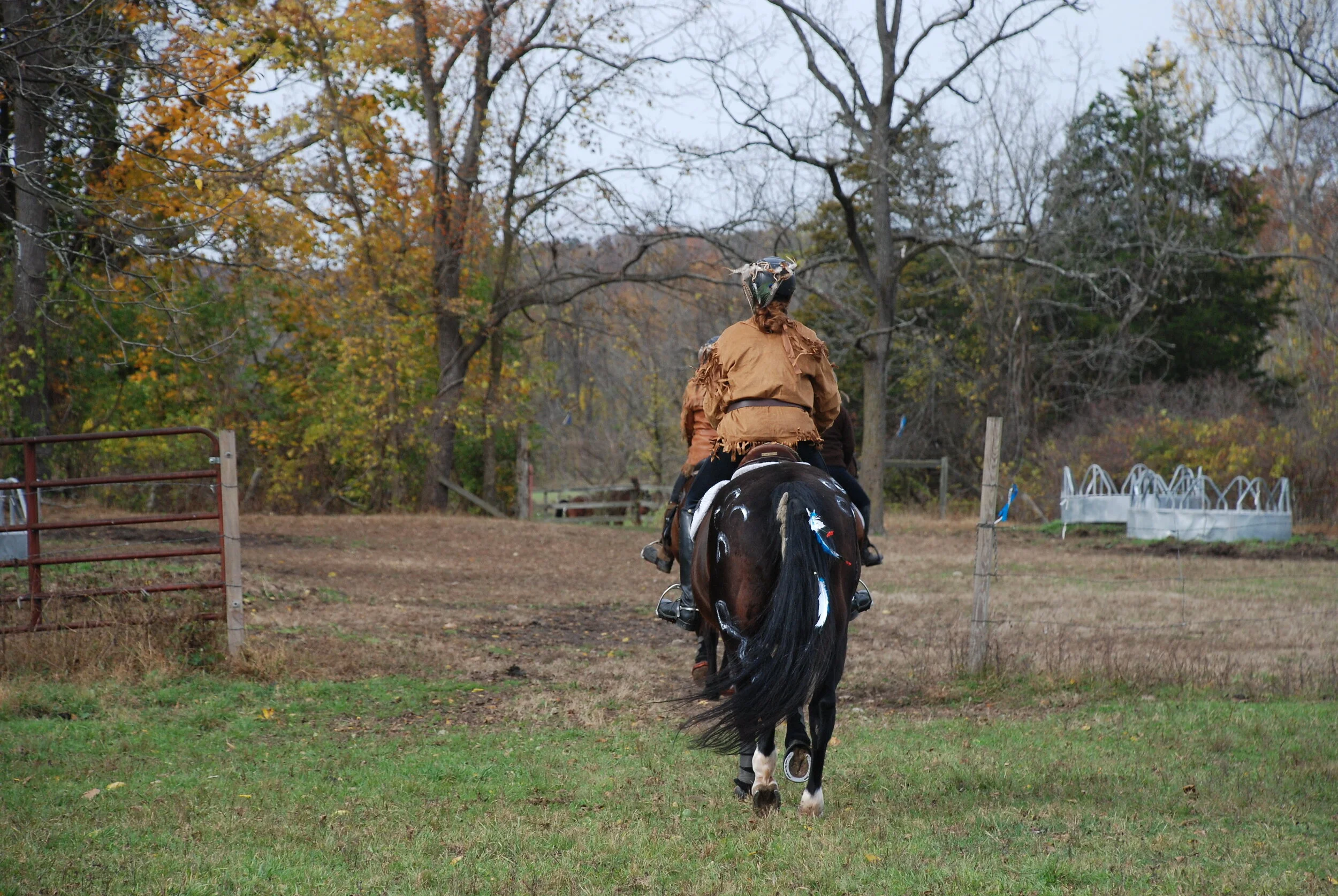 DSC_0157.jpg