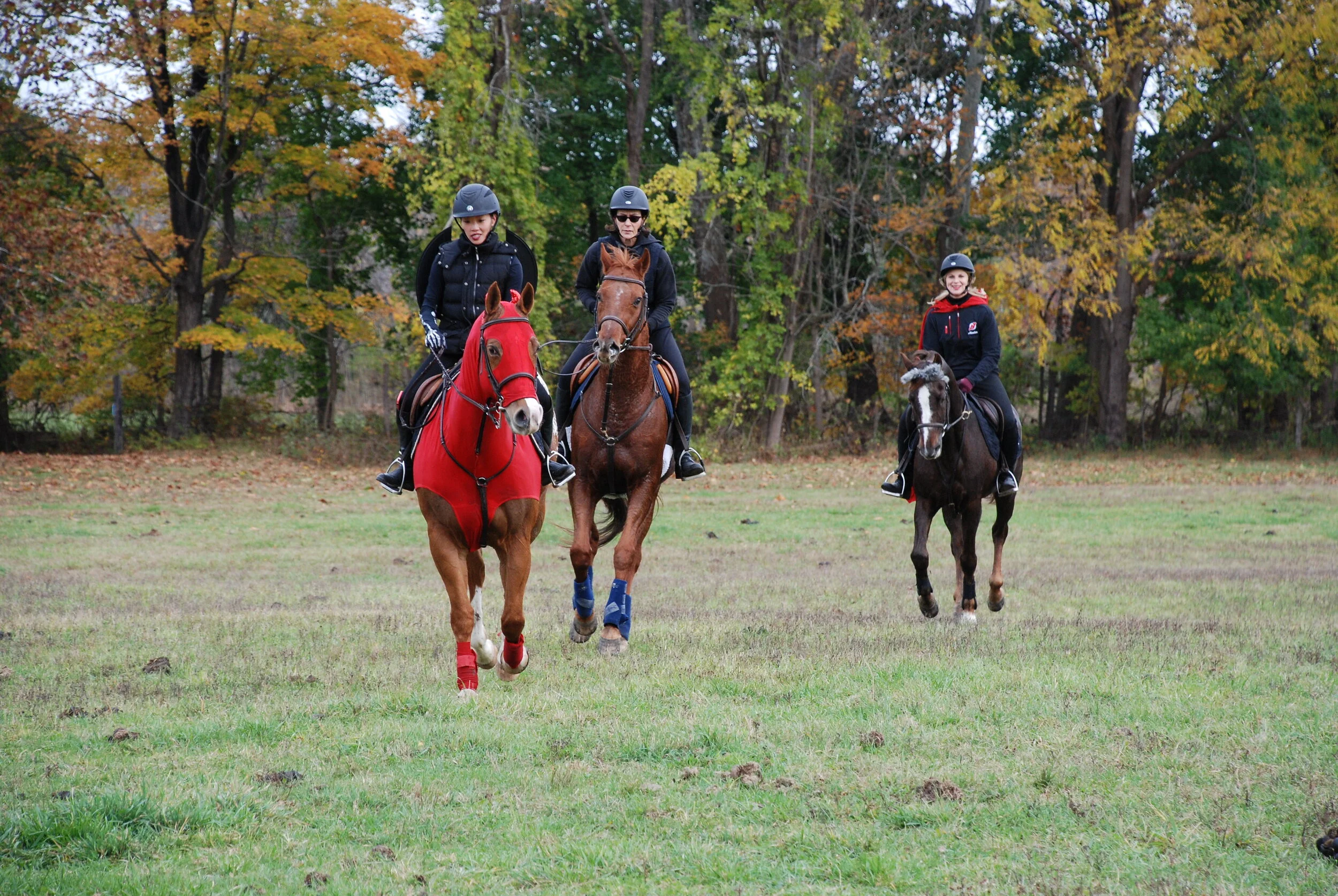 DSC_0195.jpg