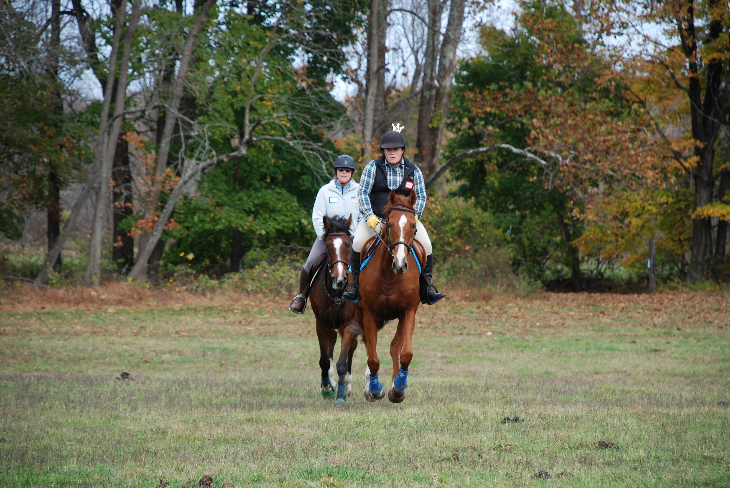 DSC_0329.jpg