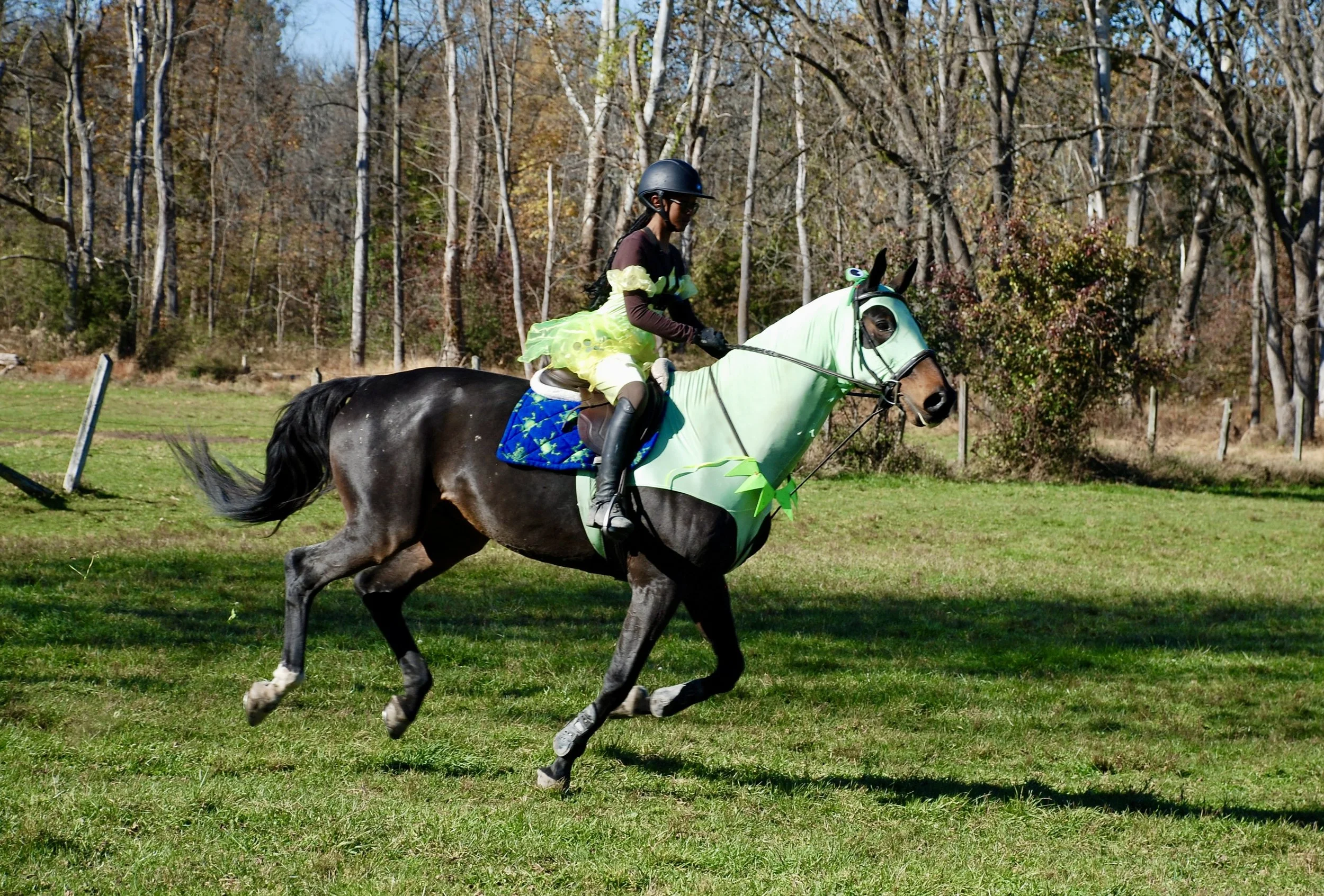 DSC_3675.JPG