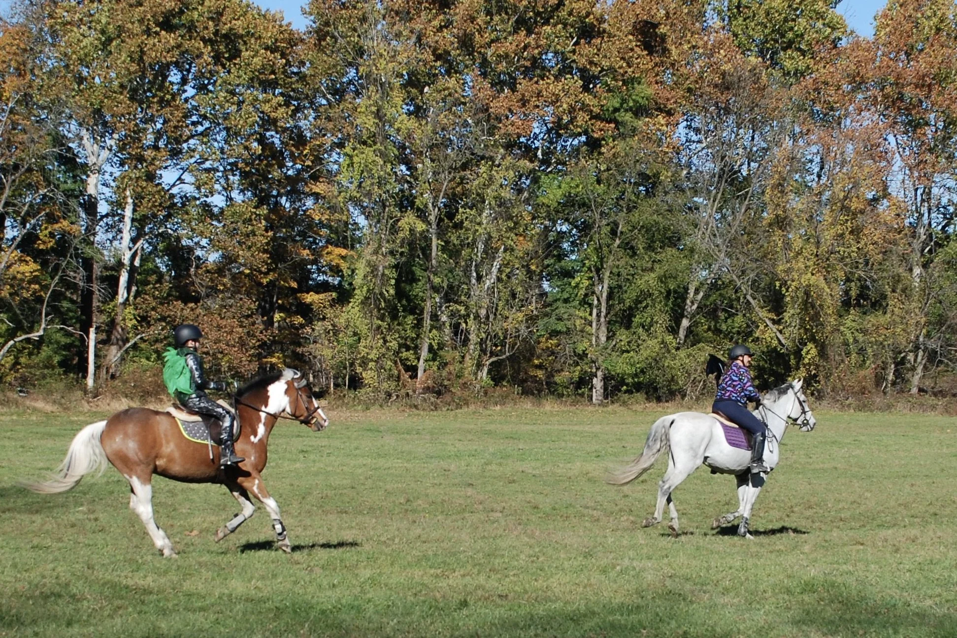 DSC_3670.JPG