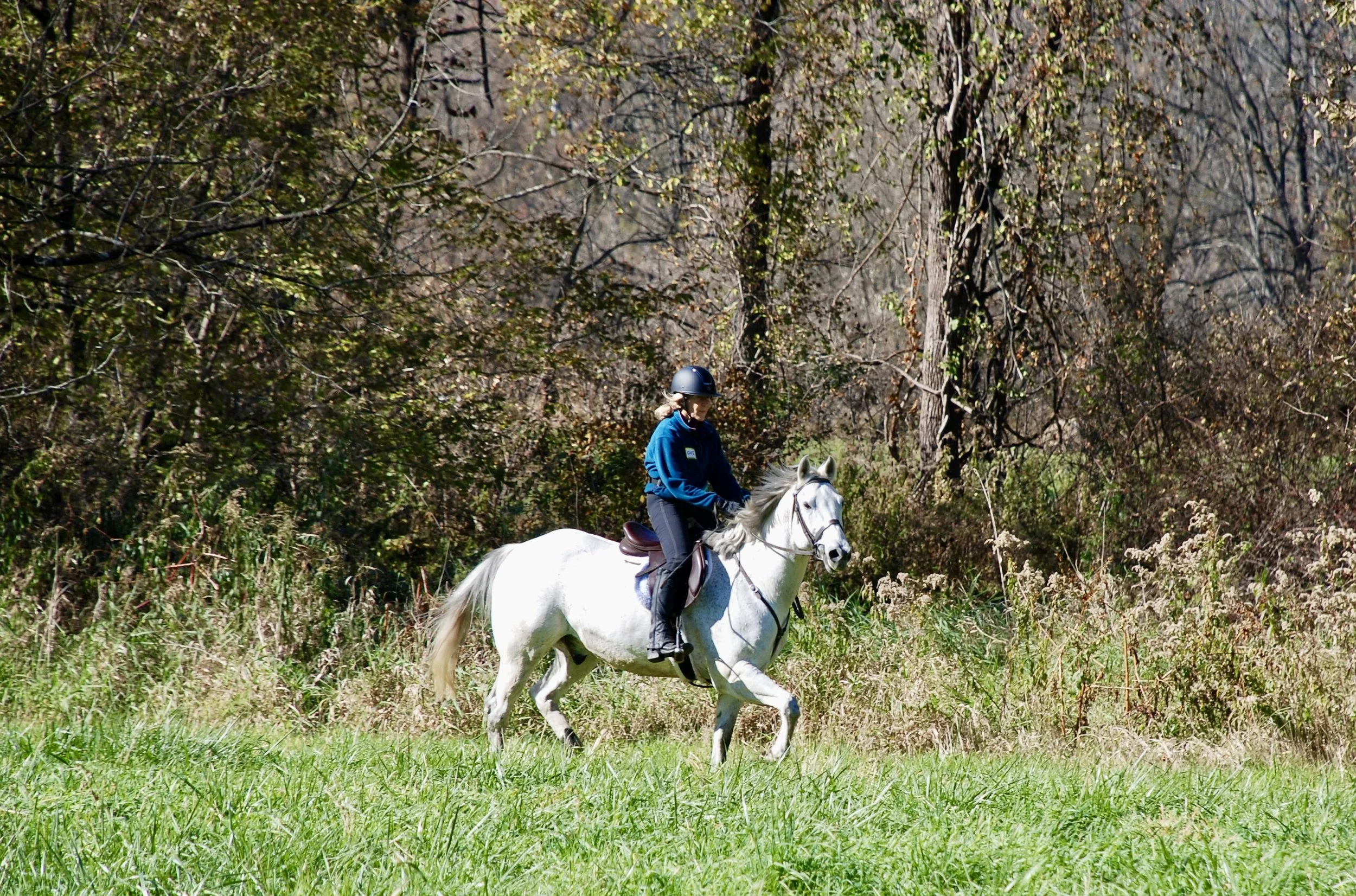 DSC_3647.JPG