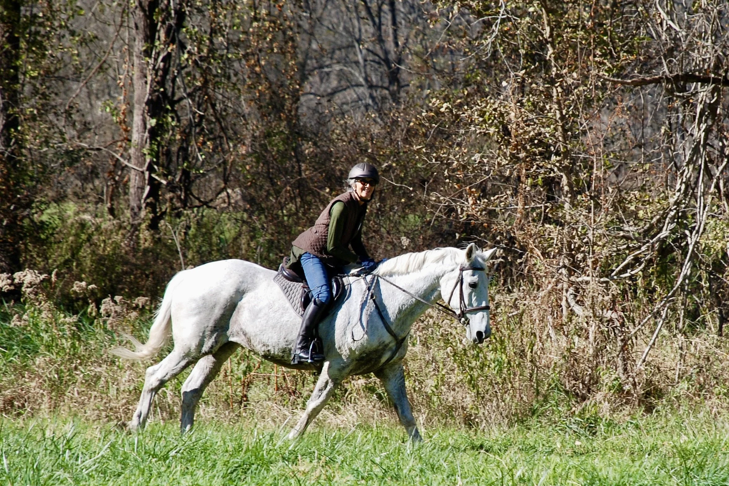 DSC_3646.JPG