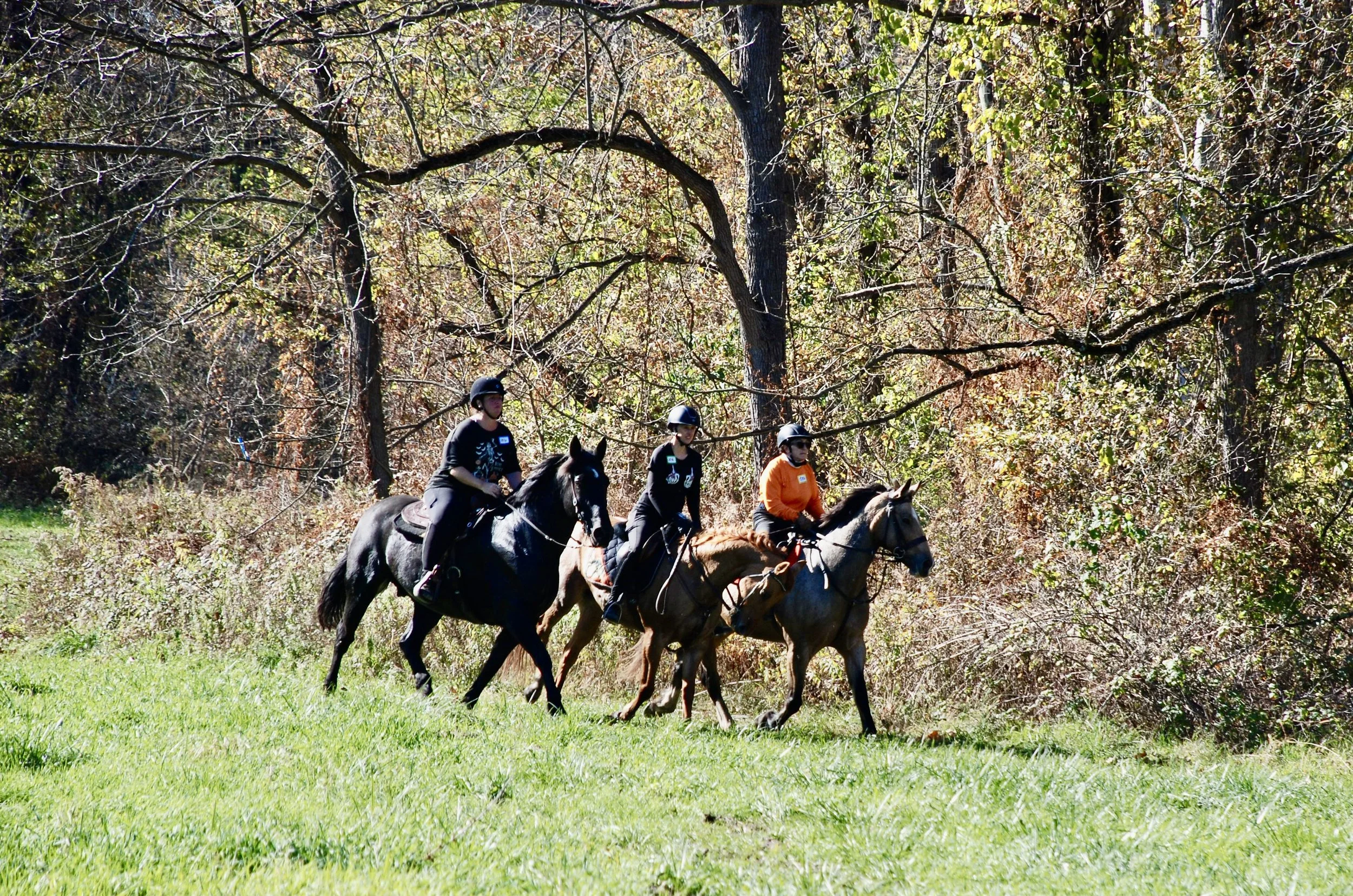 DSC_3637.JPG