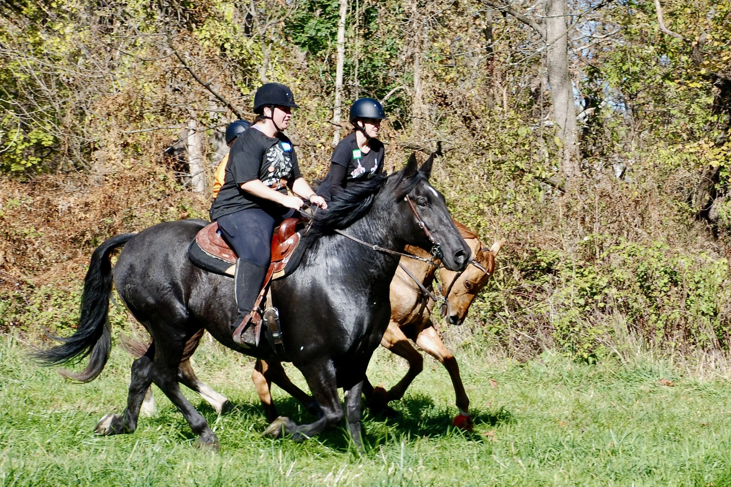 DSC_3639.JPG