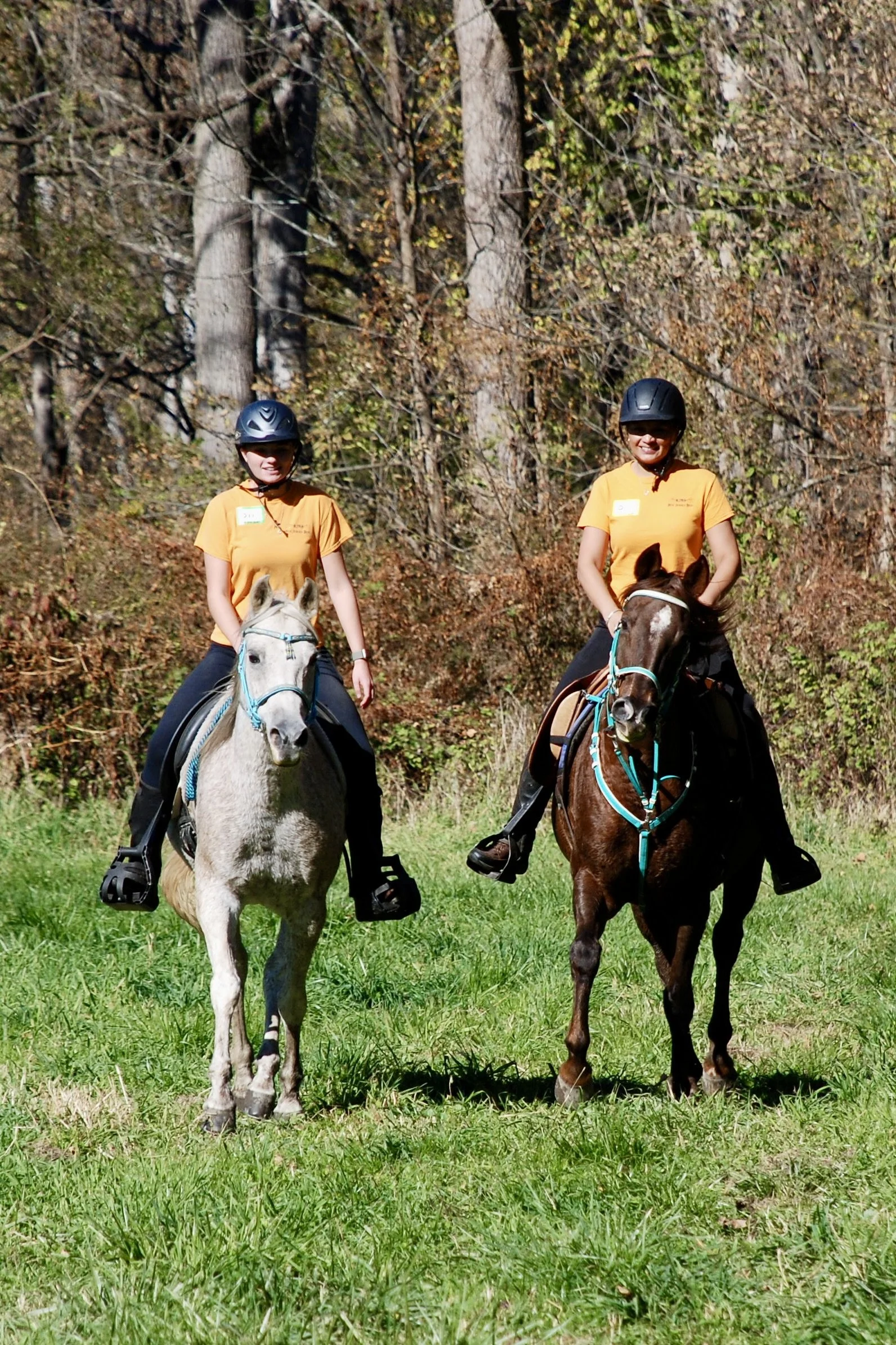 DSC_3620 2.JPG