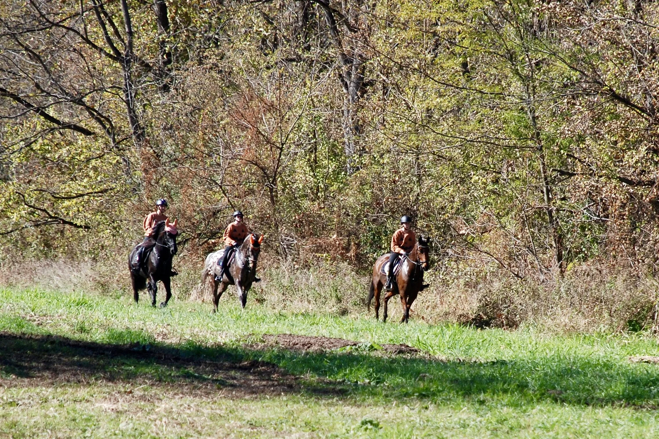 DSC_3607.JPG
