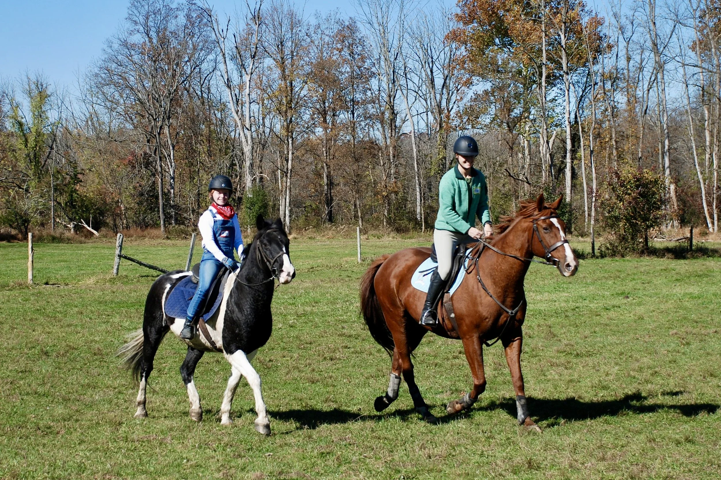 DSC_3595.JPG