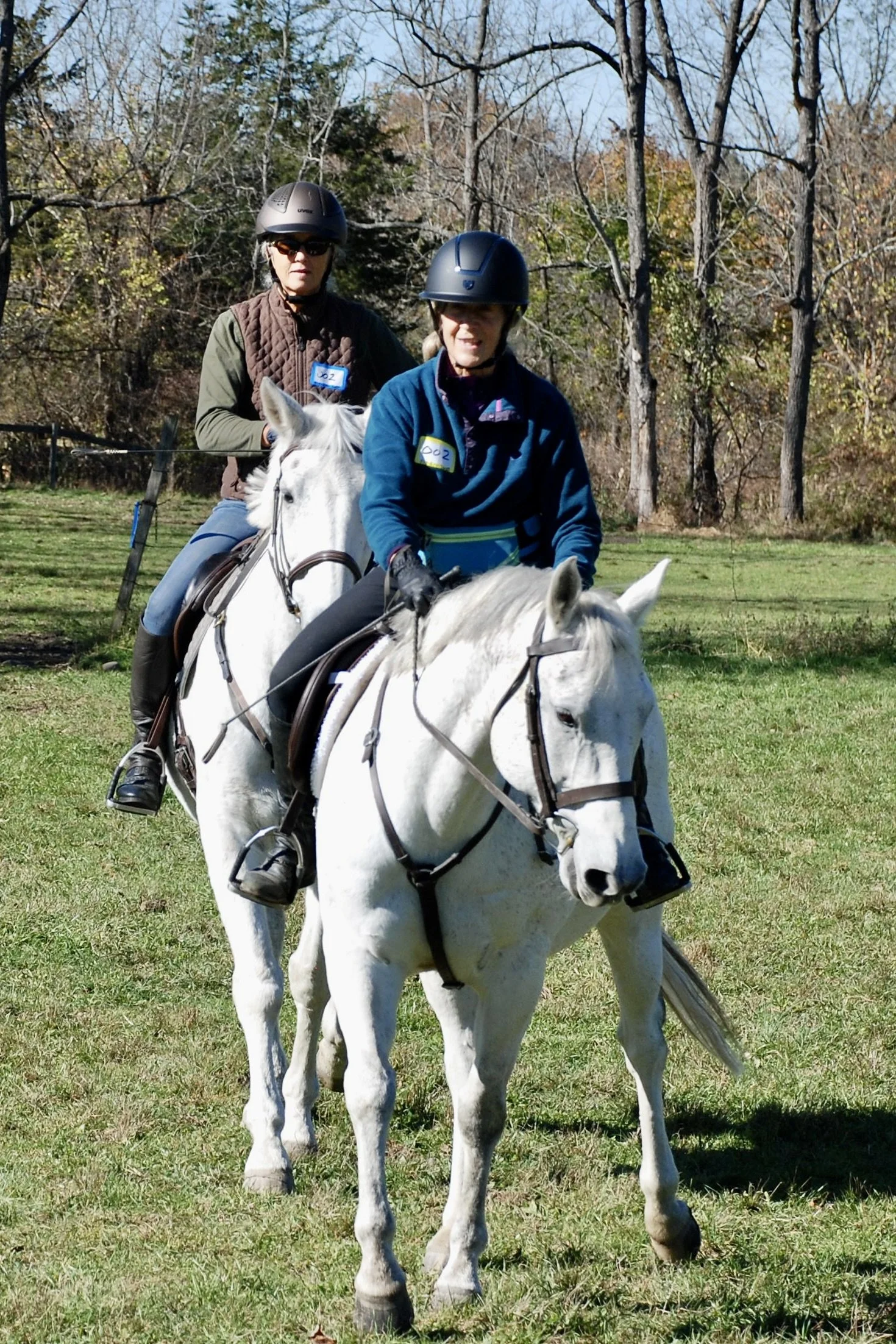DSC_3585.JPG