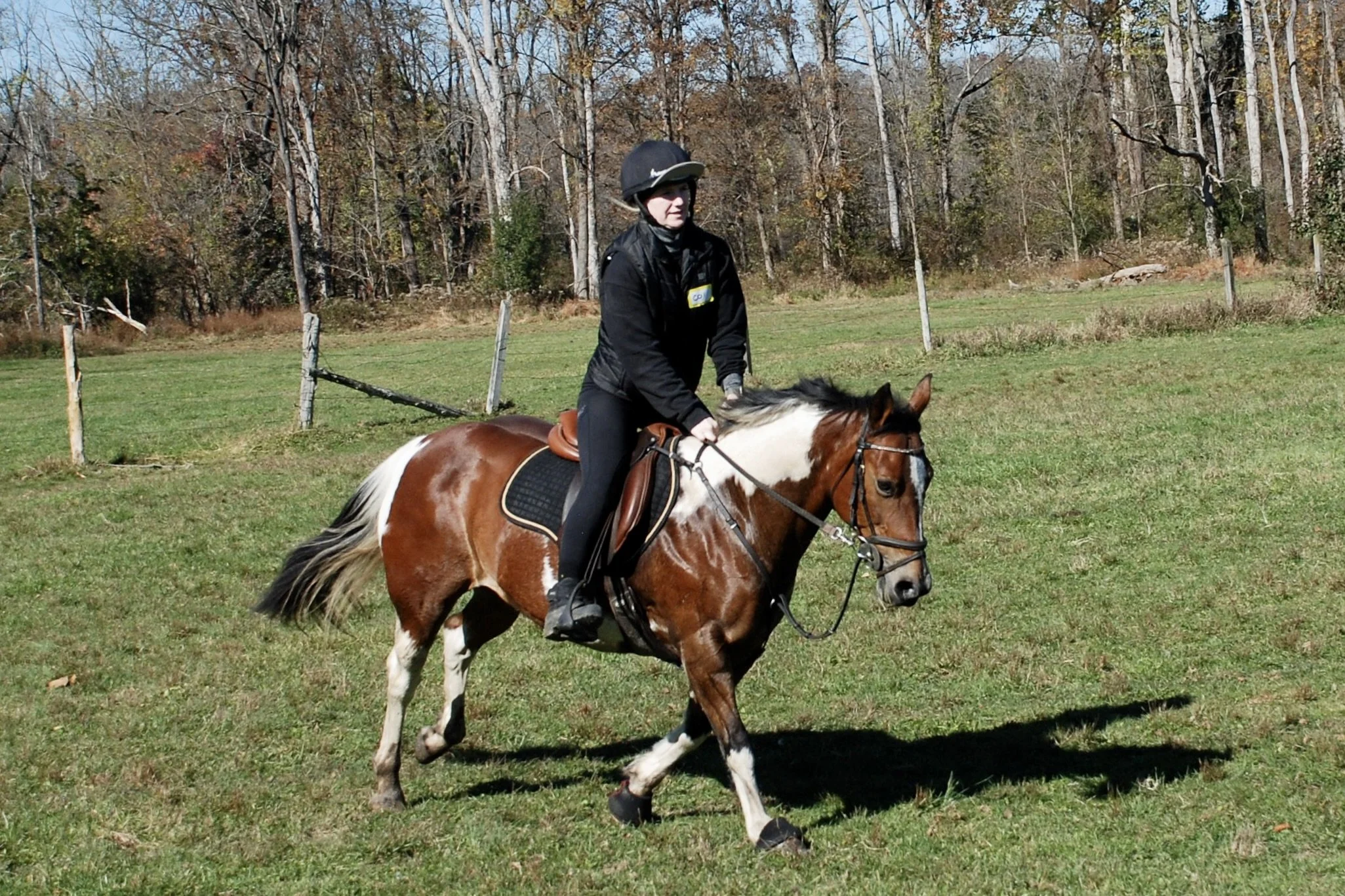 DSC_3578.JPG