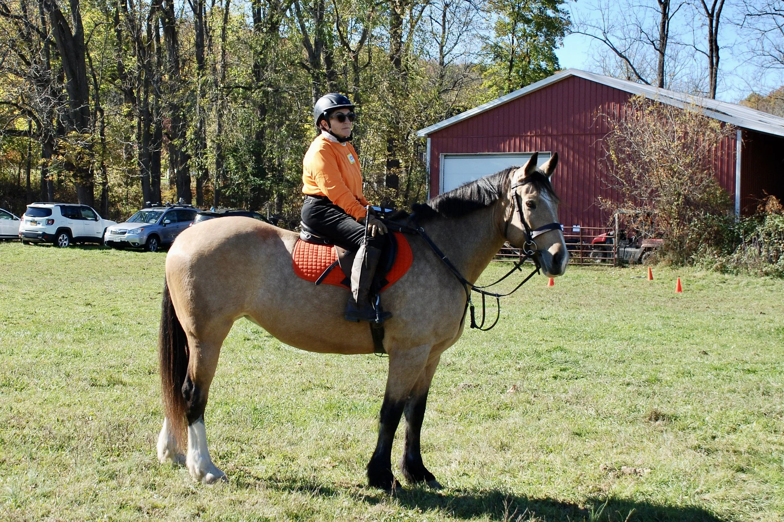DSC_3555.JPG
