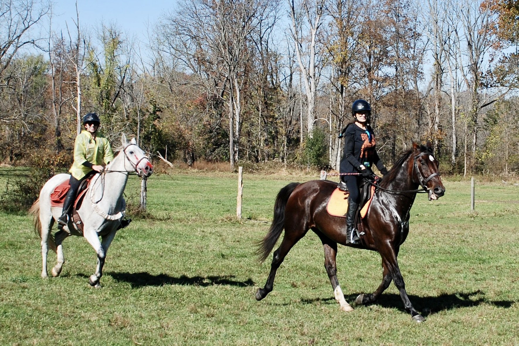 DSC_3488.JPG
