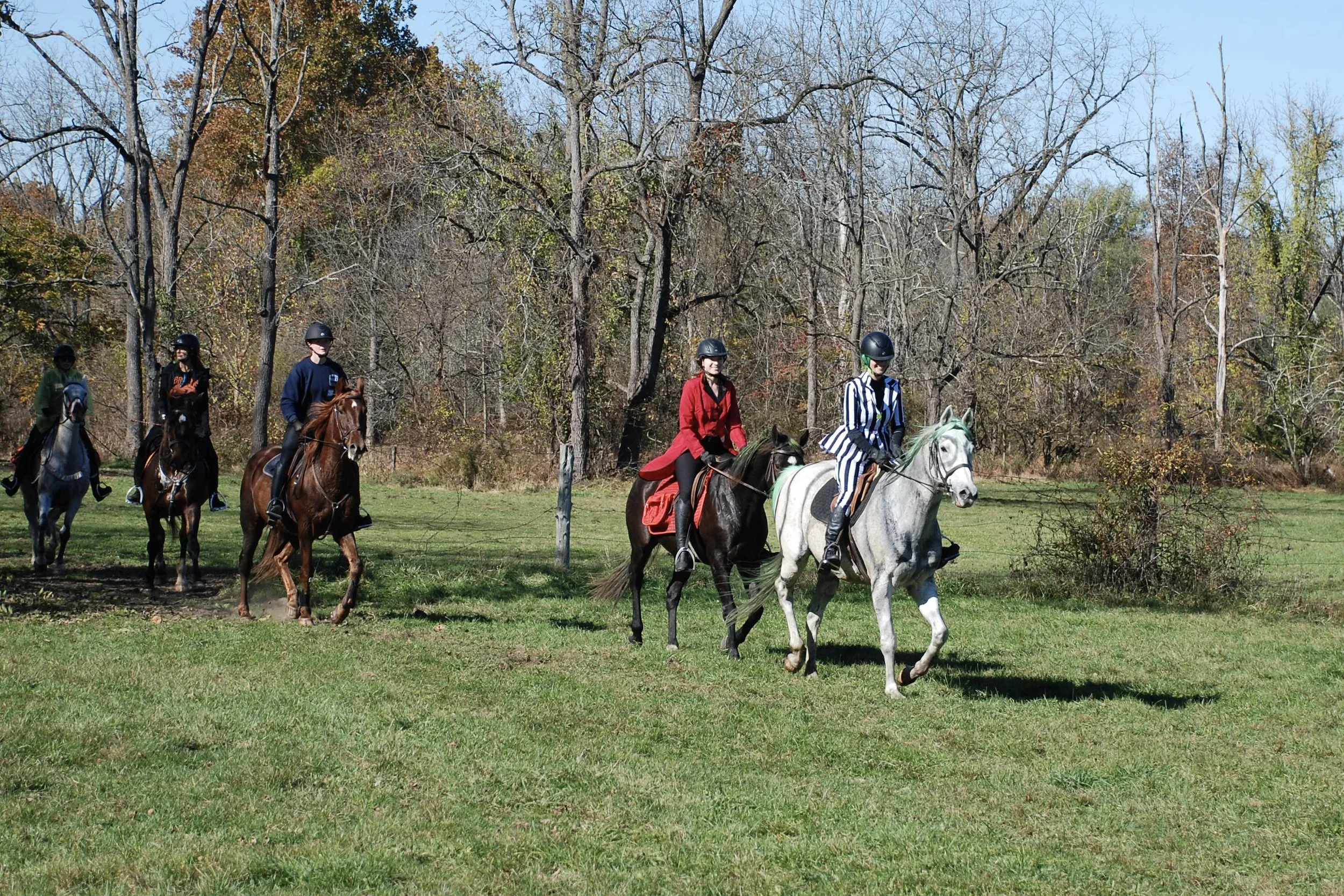 DSC_3484.JPG