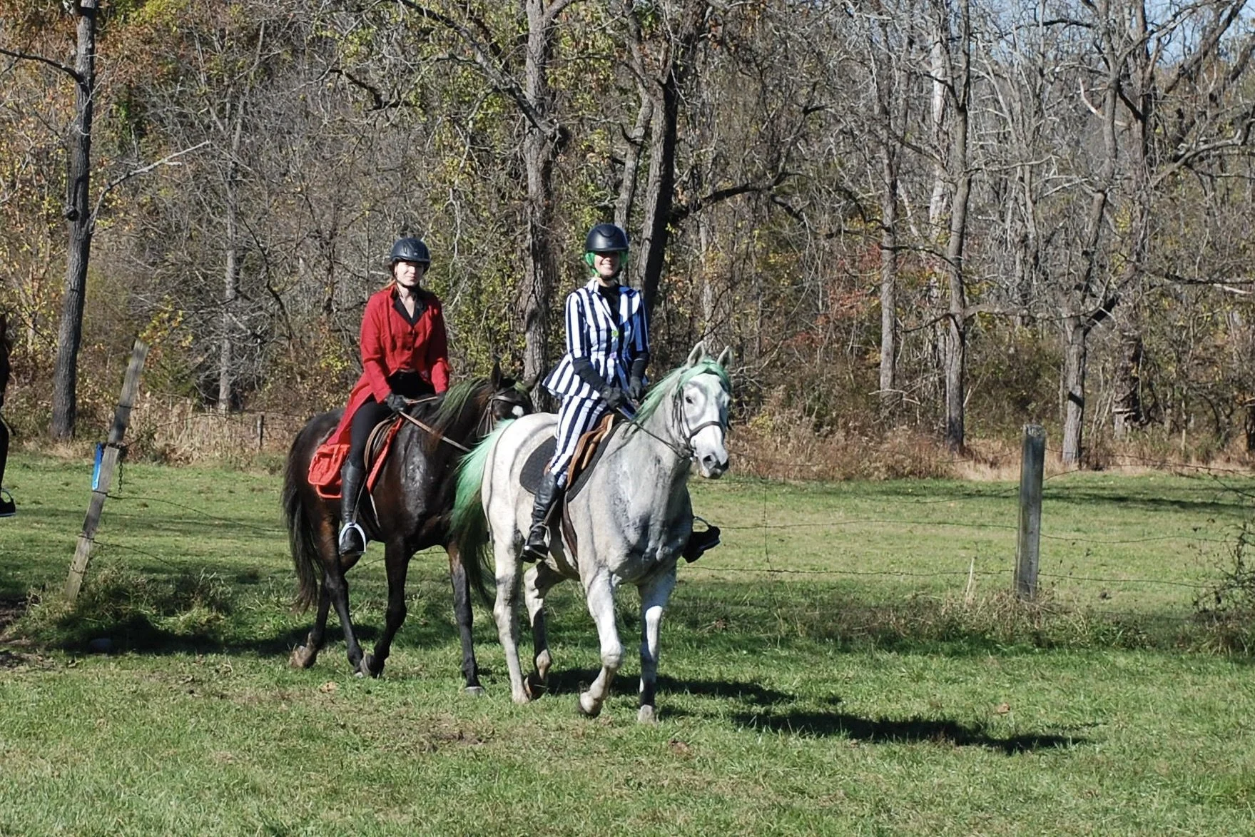 DSC_3483.JPG