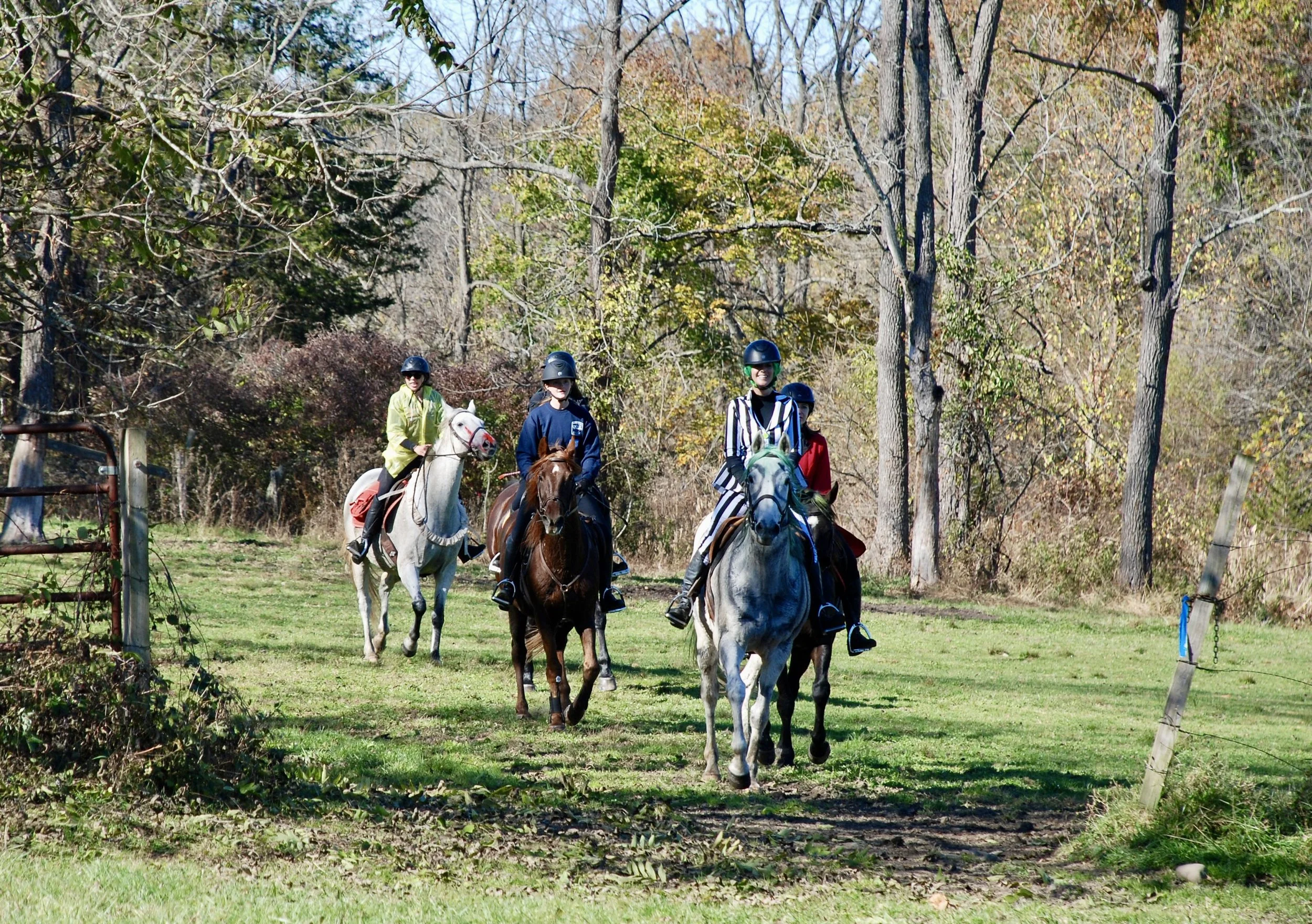 DSC_3481.JPG