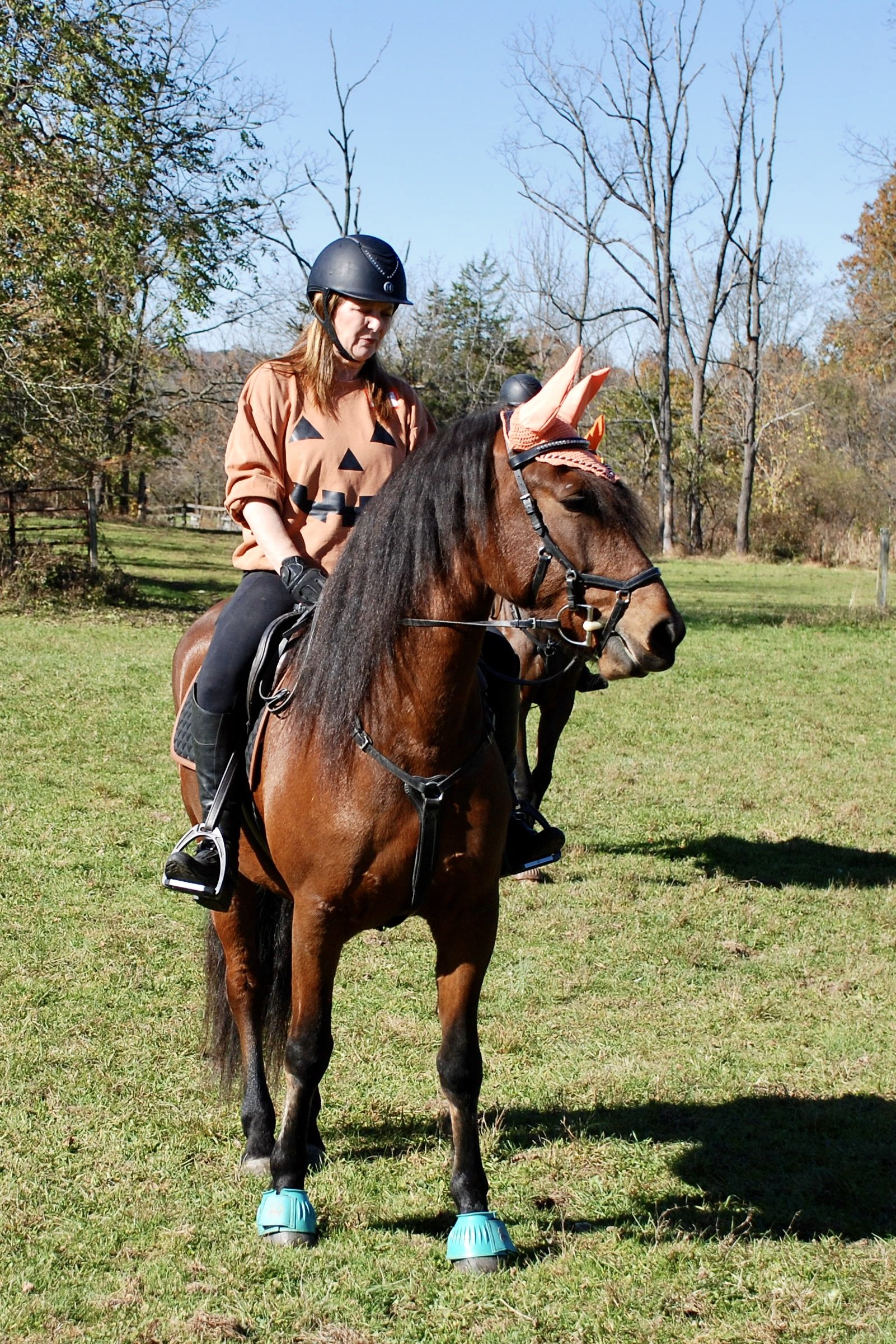DSC_3433.JPG