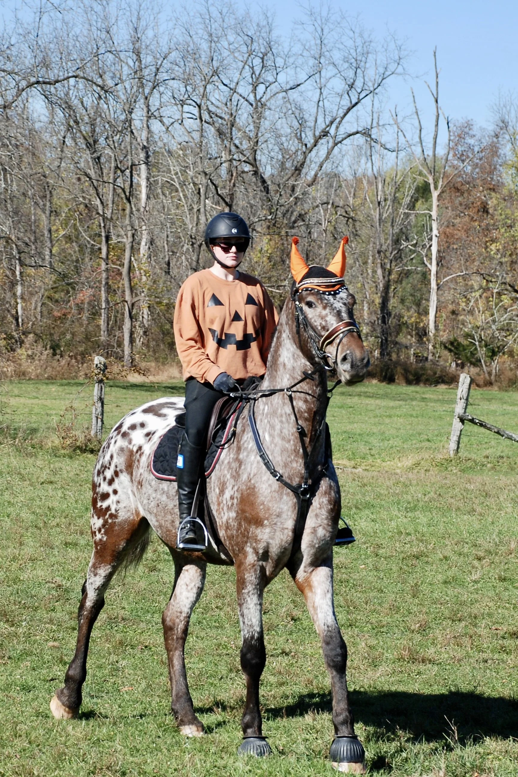 DSC_3409 2.JPG