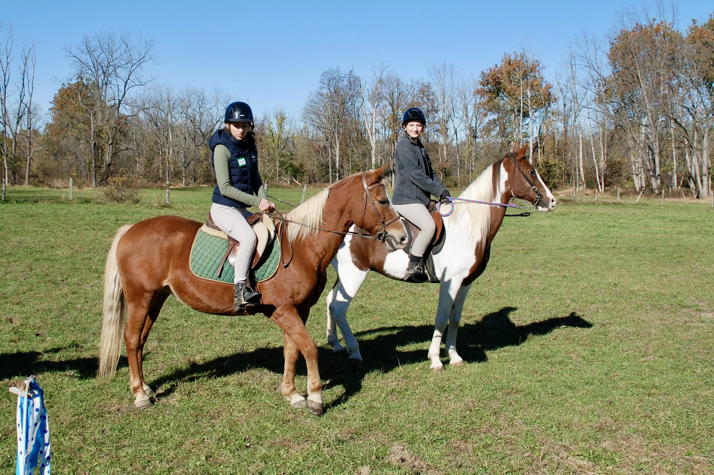 DSC_3396.JPG