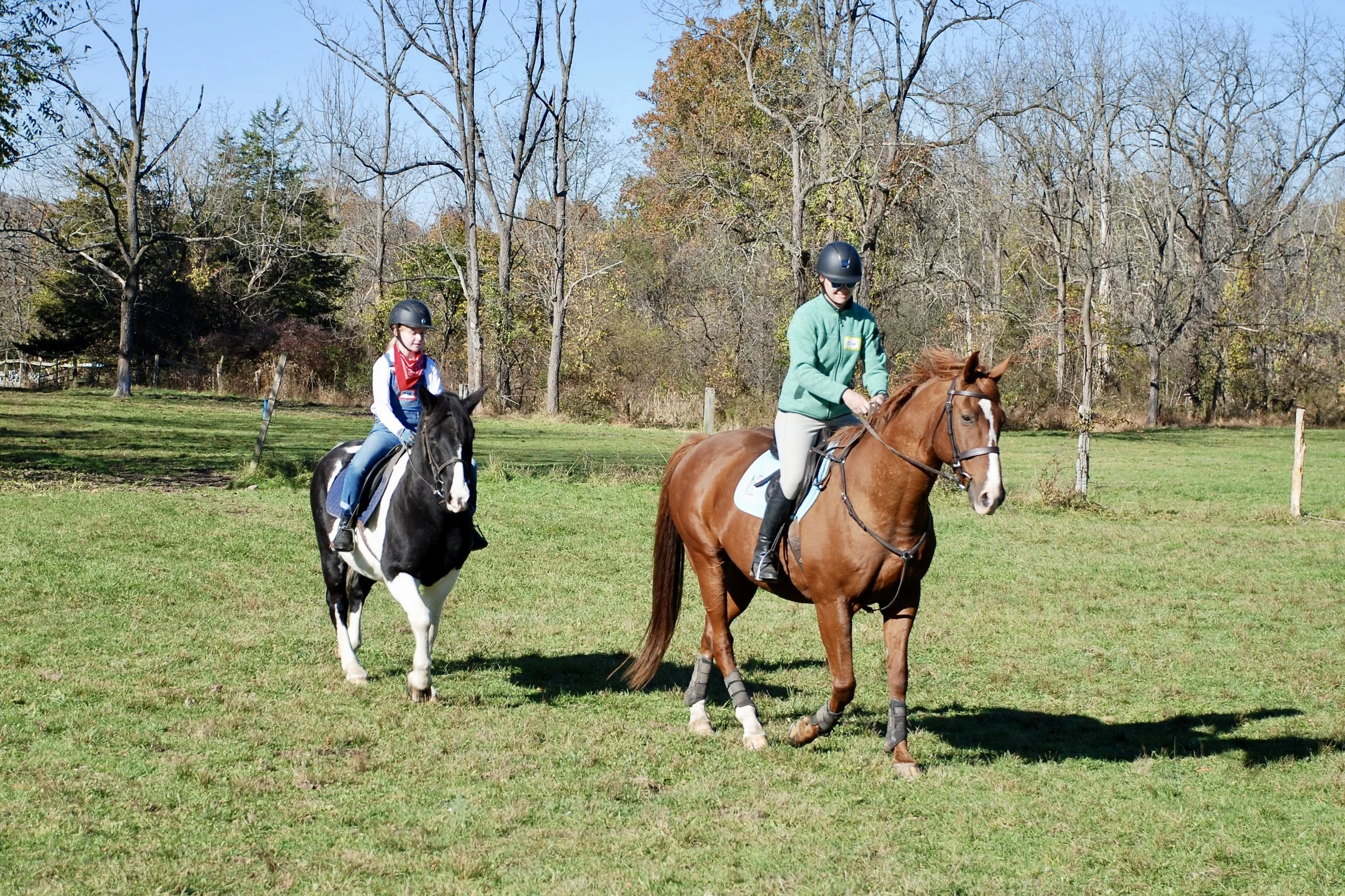 DSC_3387.JPG