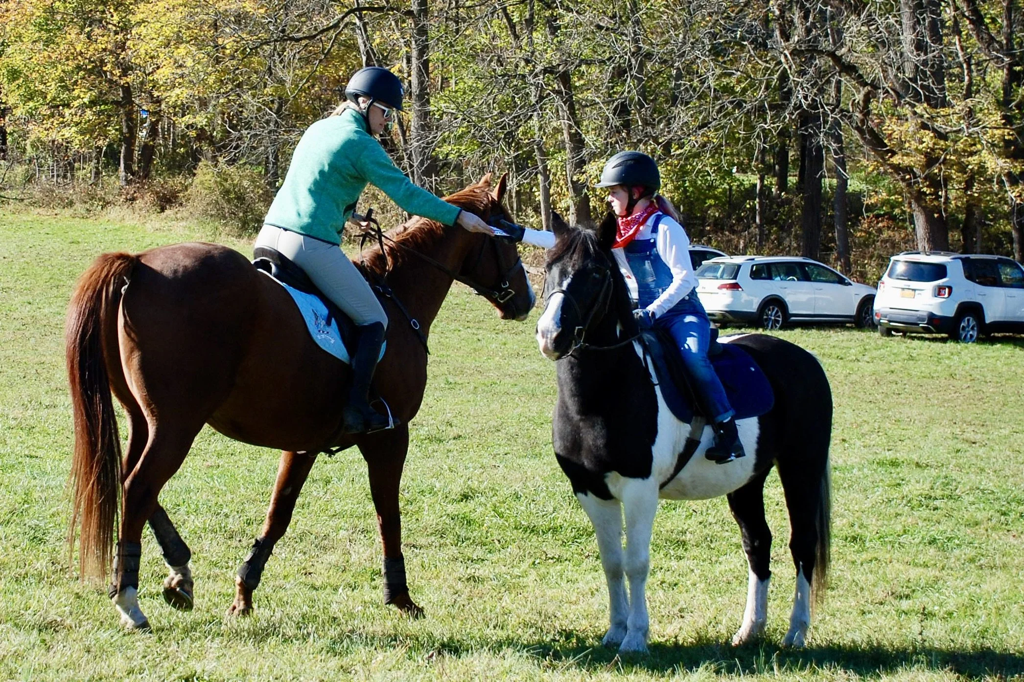 DSC_3377.JPG