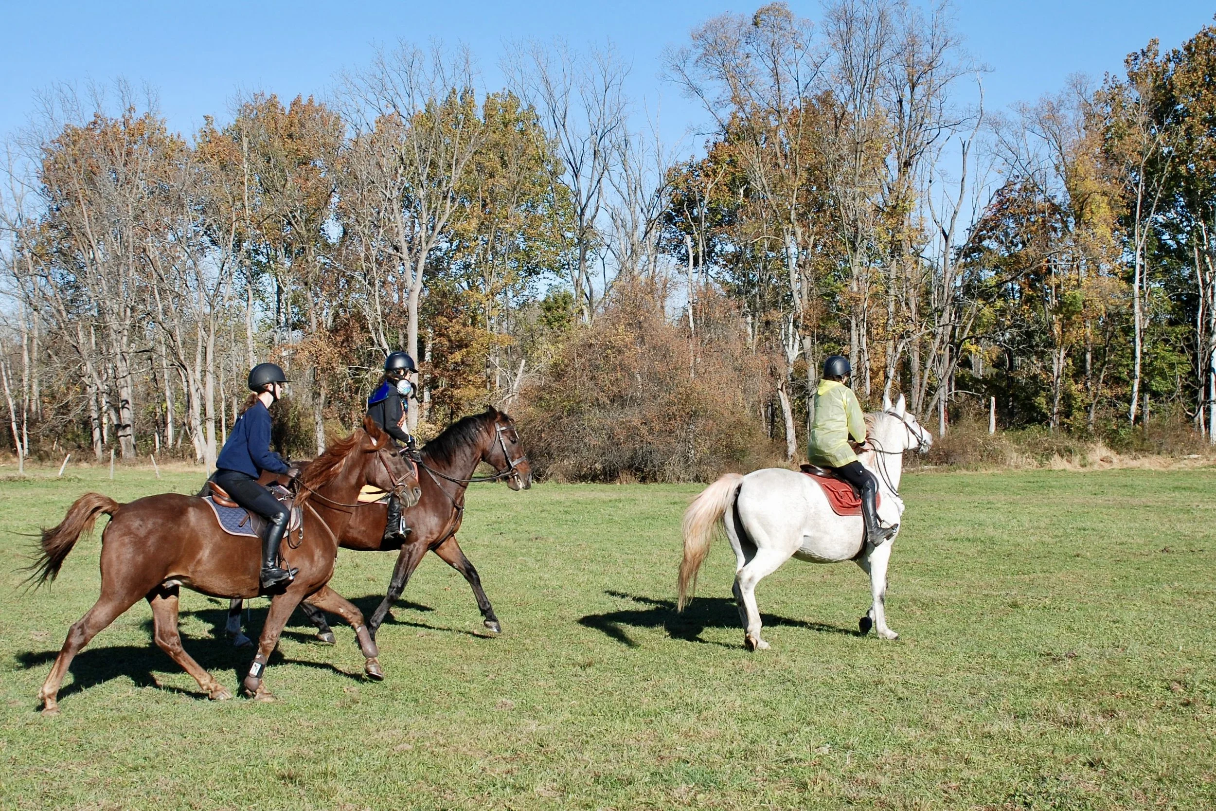 DSC_3339.JPG