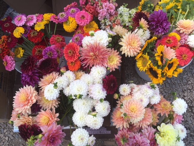 CSA flower bouquets