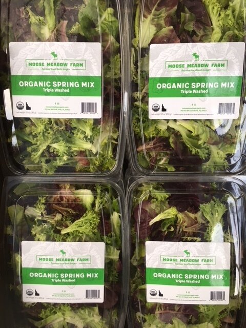 Spring Mix ready for grocery stores
