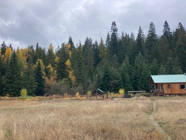 Cabin:garden peak foliage.jpg