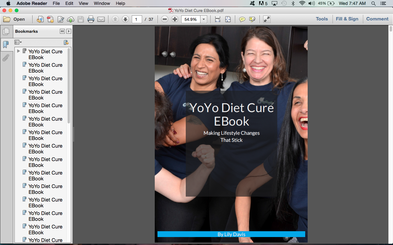 YoYo Diet Cure EBook