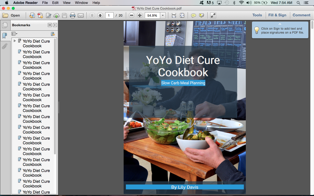 YoYo Diet Cure Cookbook