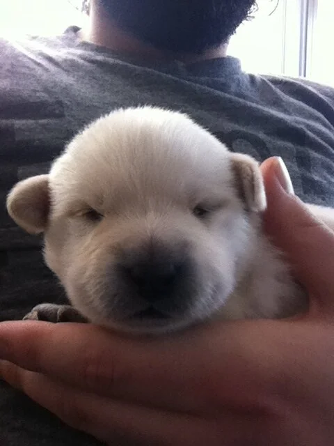 New To Running, Now I'm In Pain