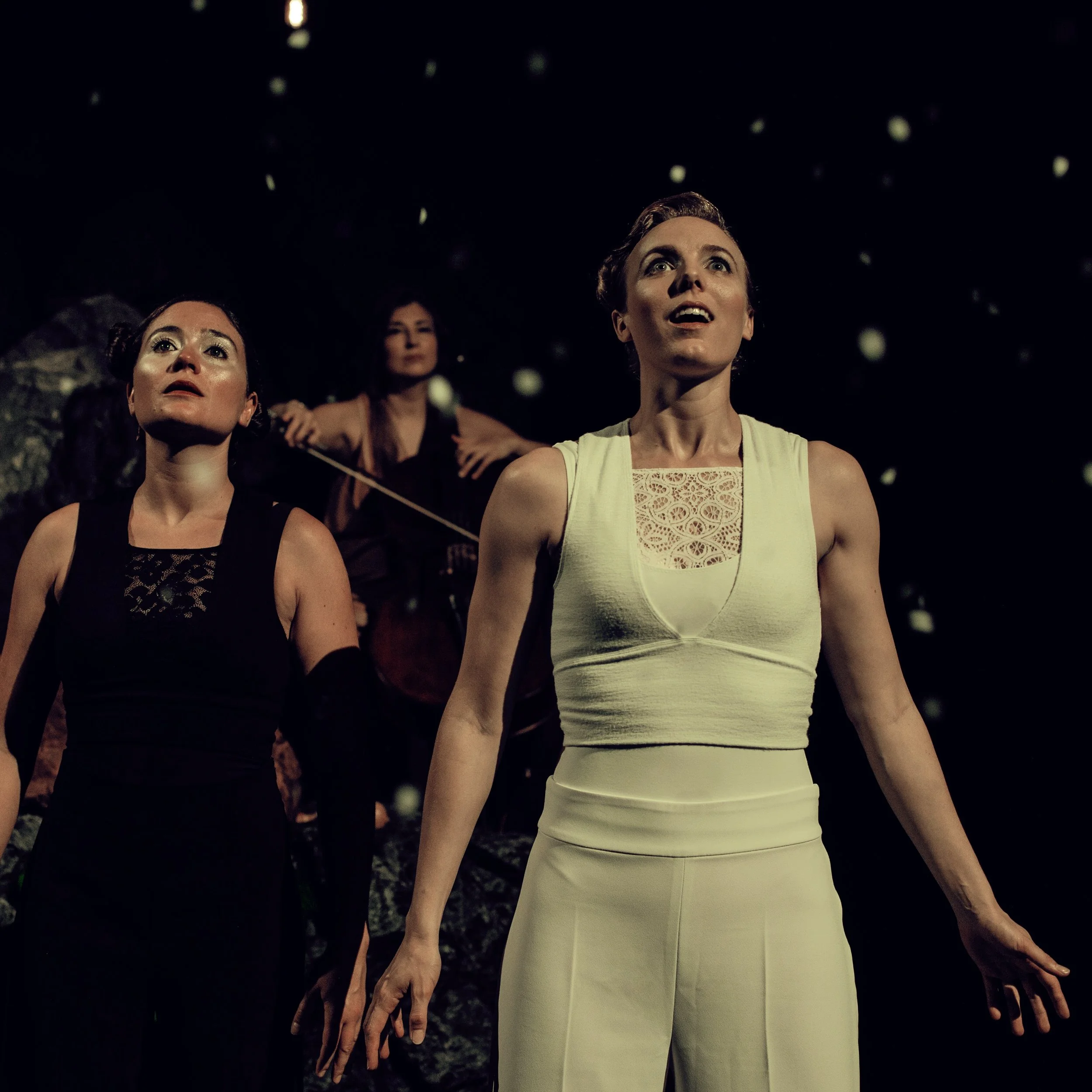 This is Why We Live final square.jpeg