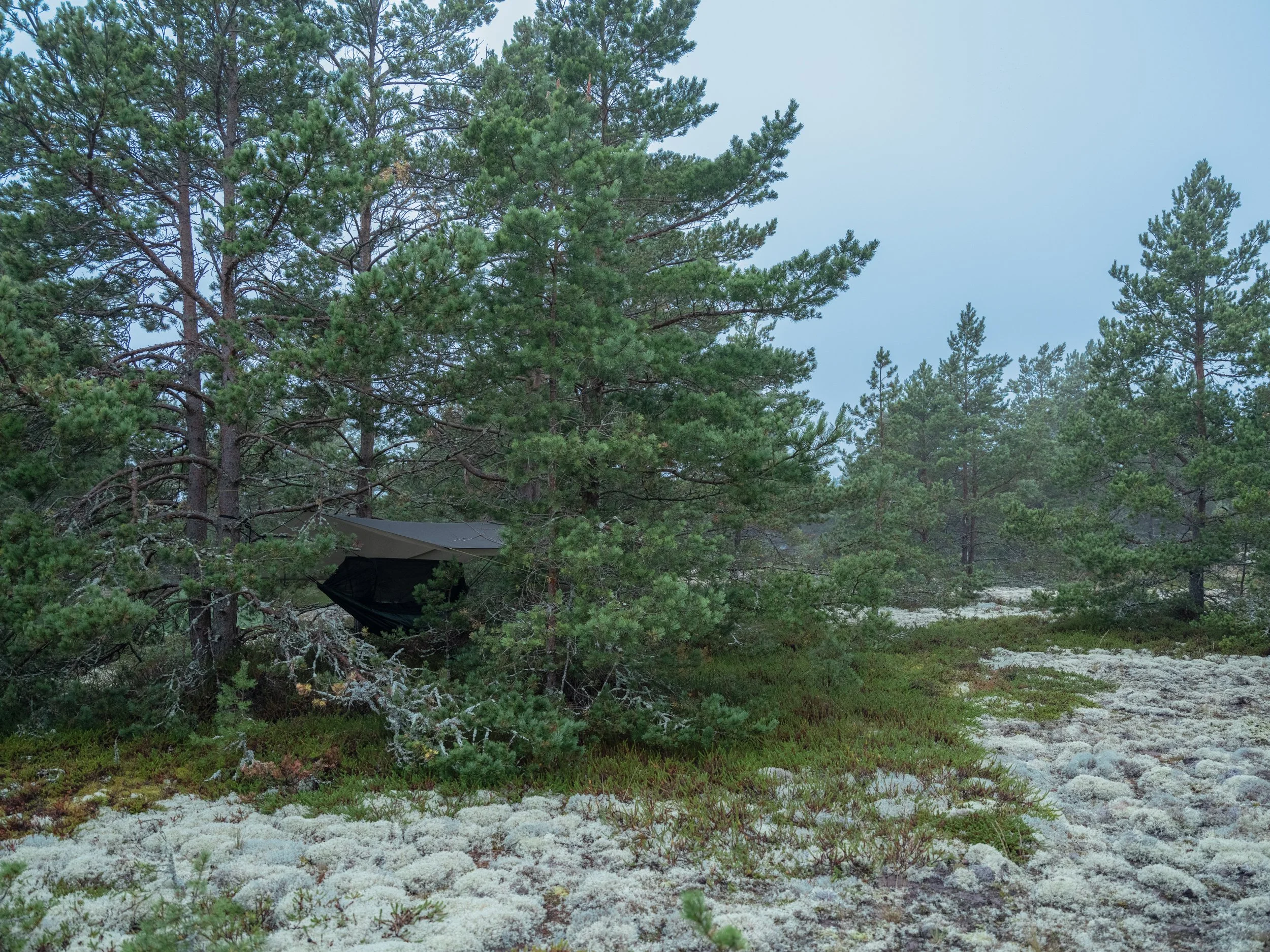 www-0173.jpg