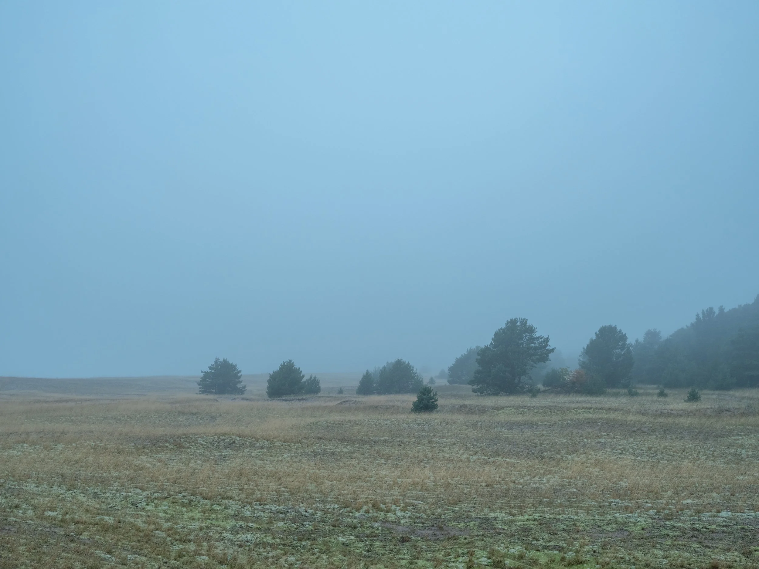 www-0167.jpg