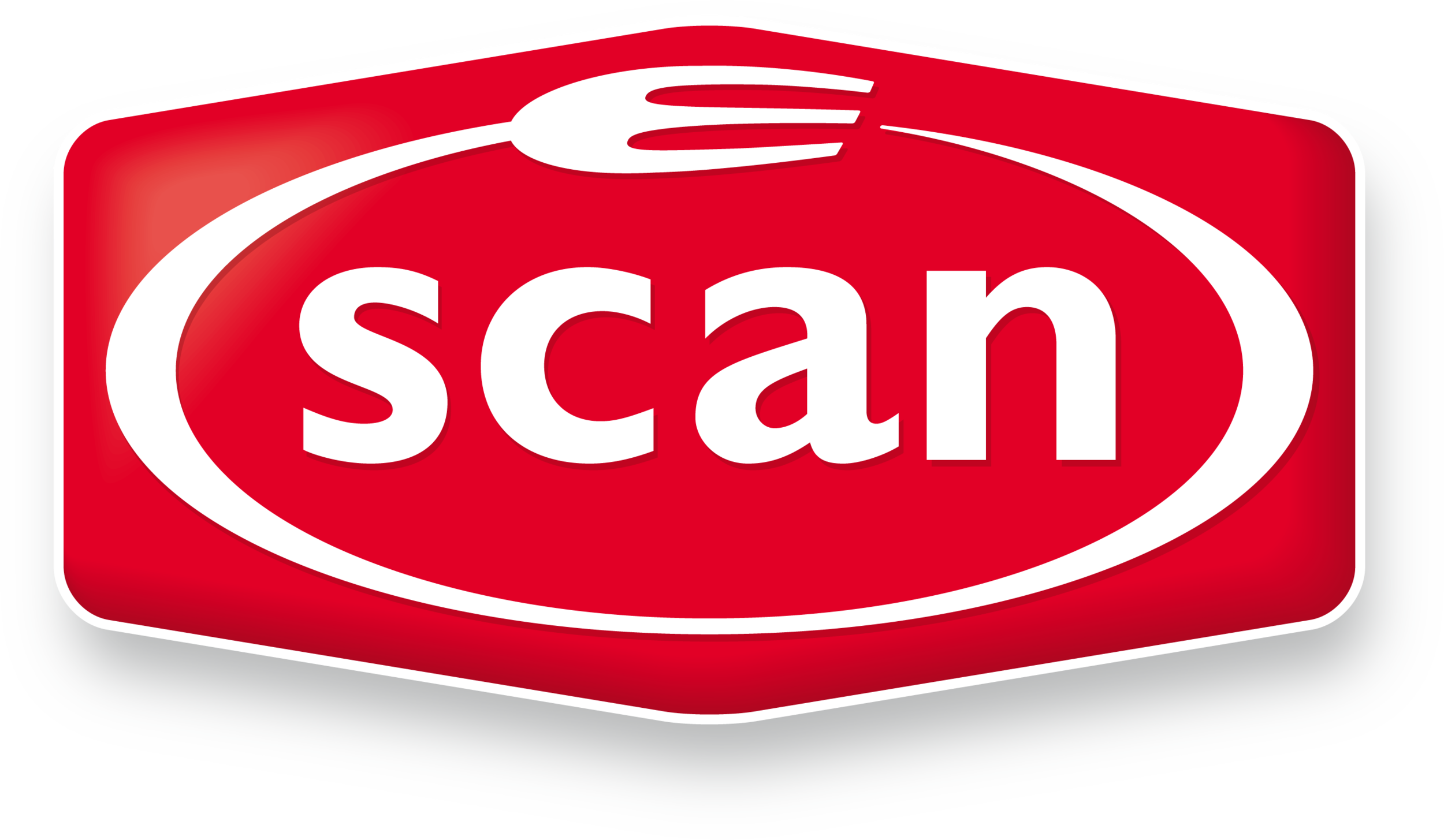 scan.png