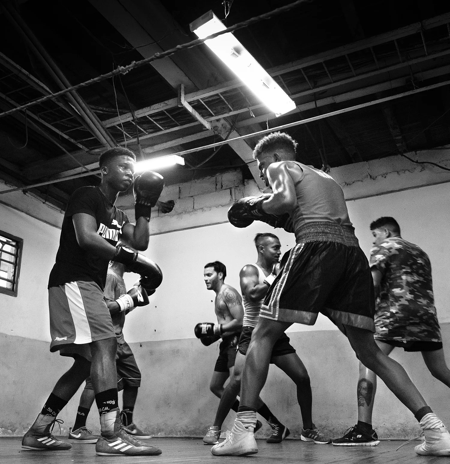 Sparring Sala Polivalente Kid Chocolate boxing academy