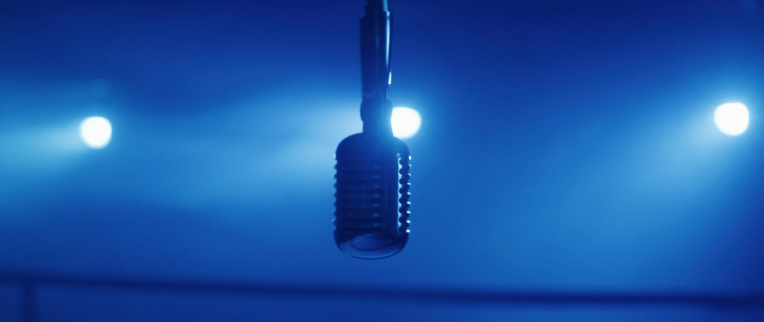 mic.JPG