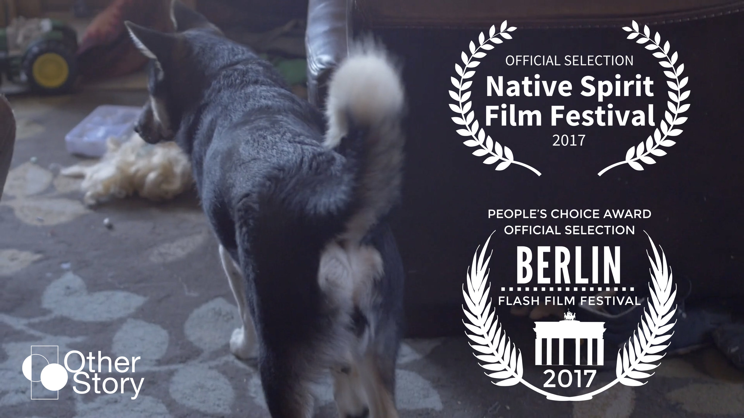 Tribe of all Colours - official selection