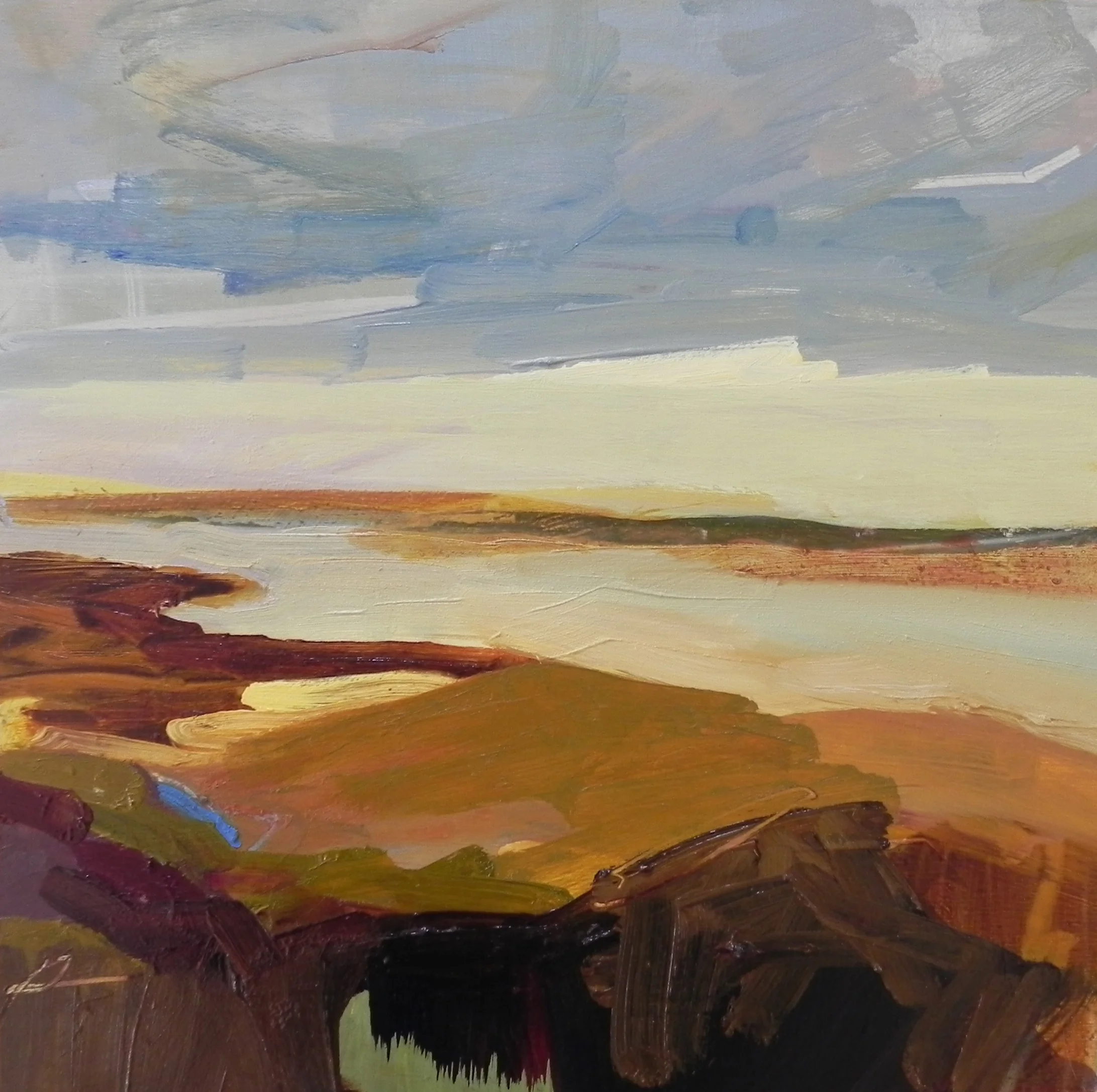 A Rust Covered Marsh