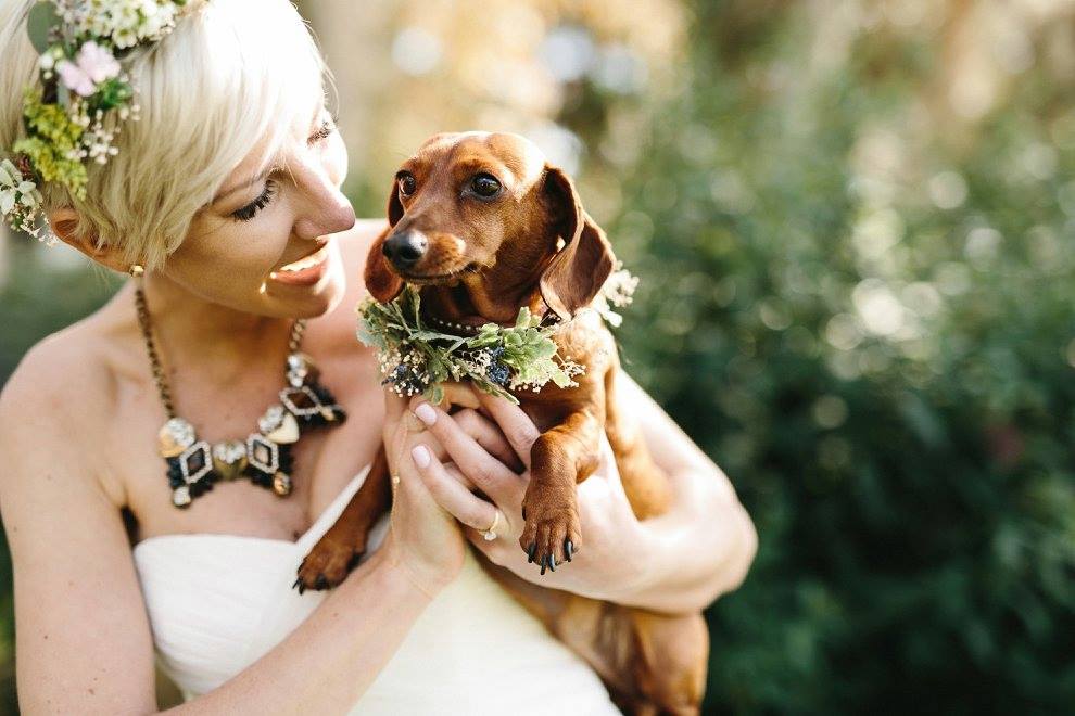 Photo by Marisa Albrecht Photography