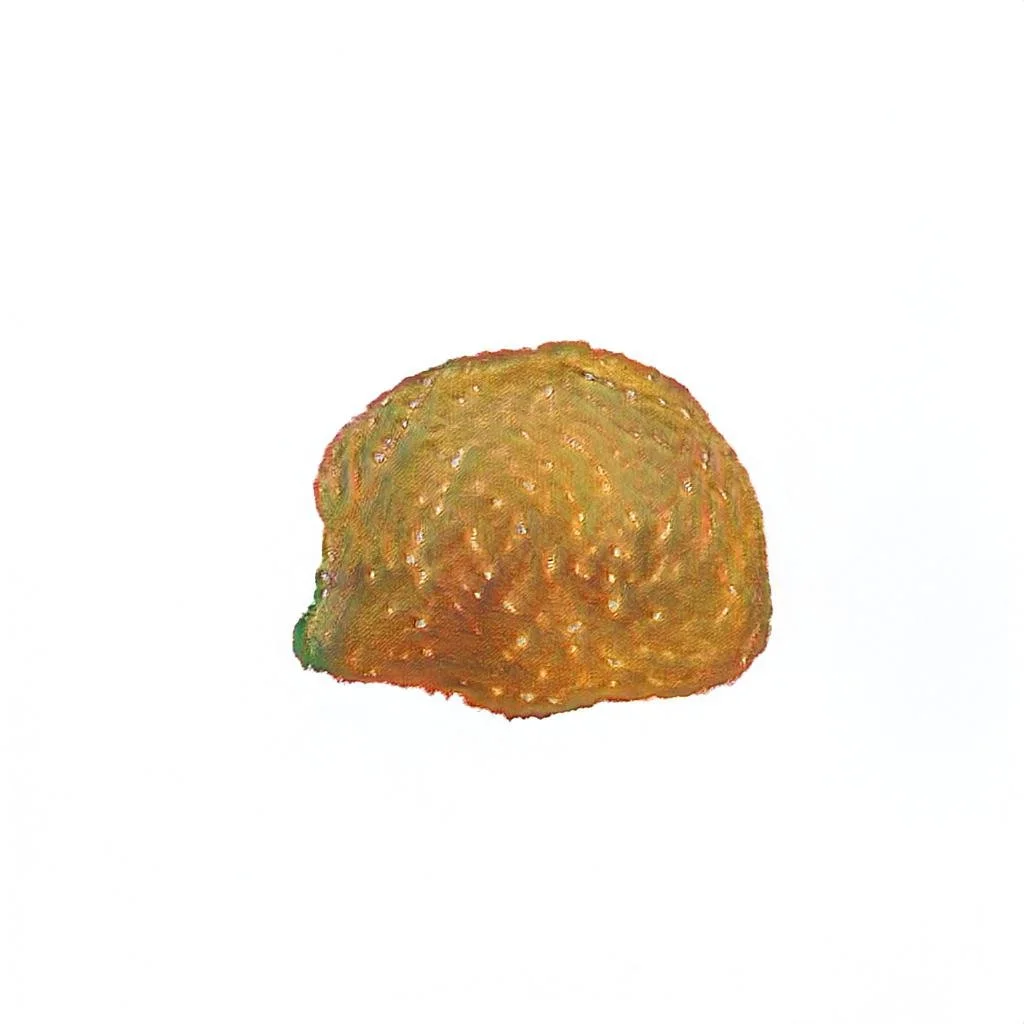 img22987.jpeg