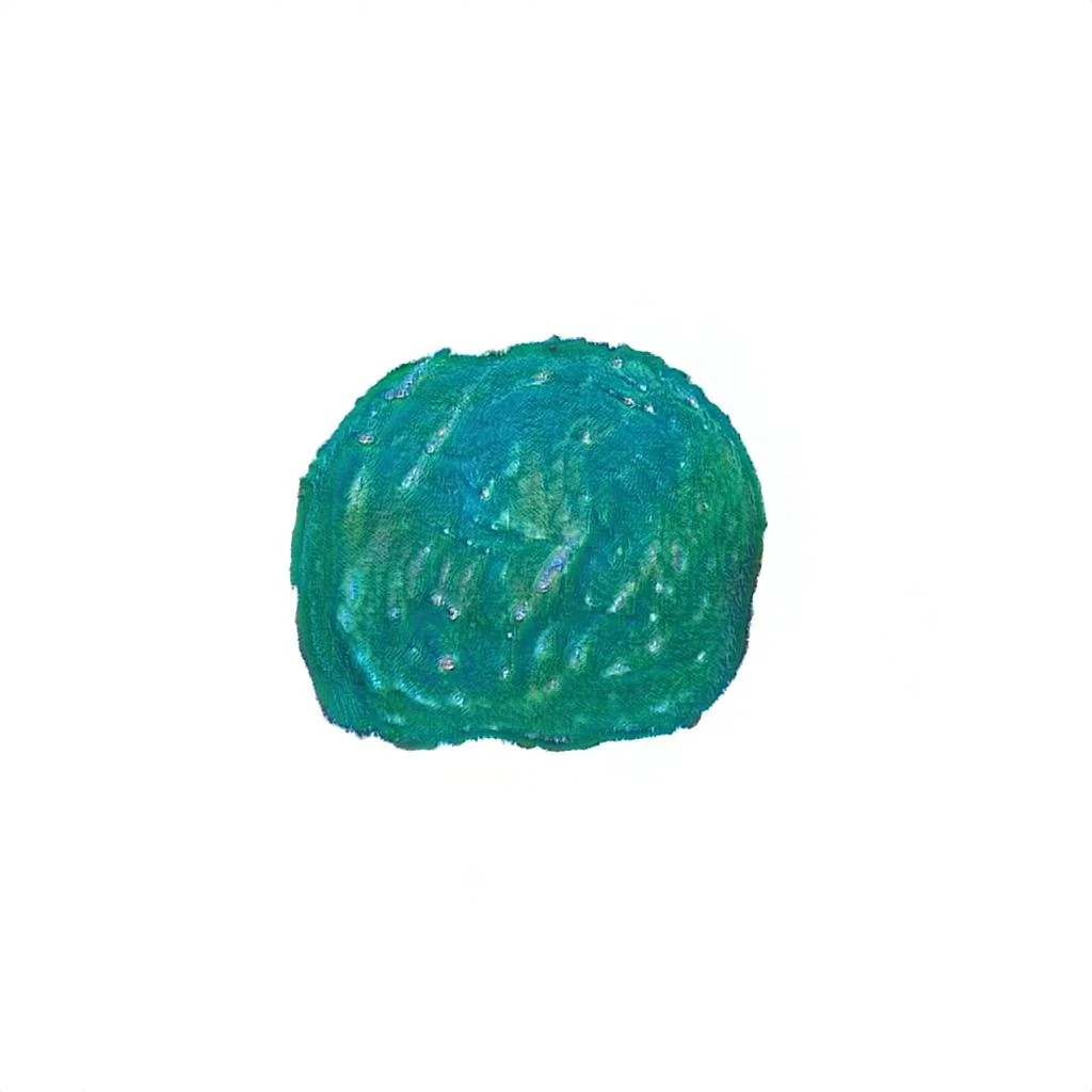img106591.jpeg