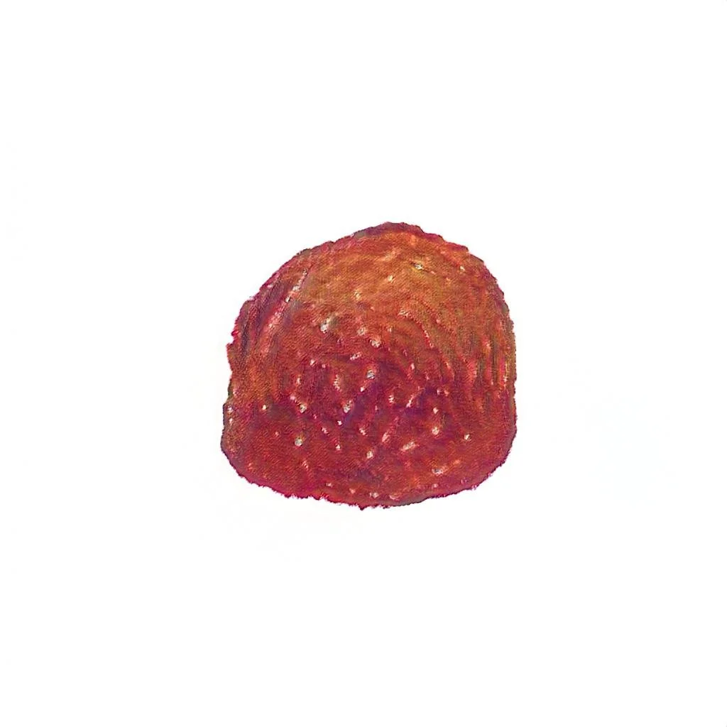 img183947.jpeg