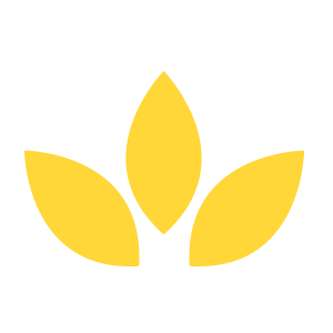 Non-Profit Organizations