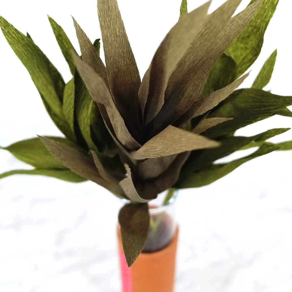 PR_Capsule_Greens_2.jpg