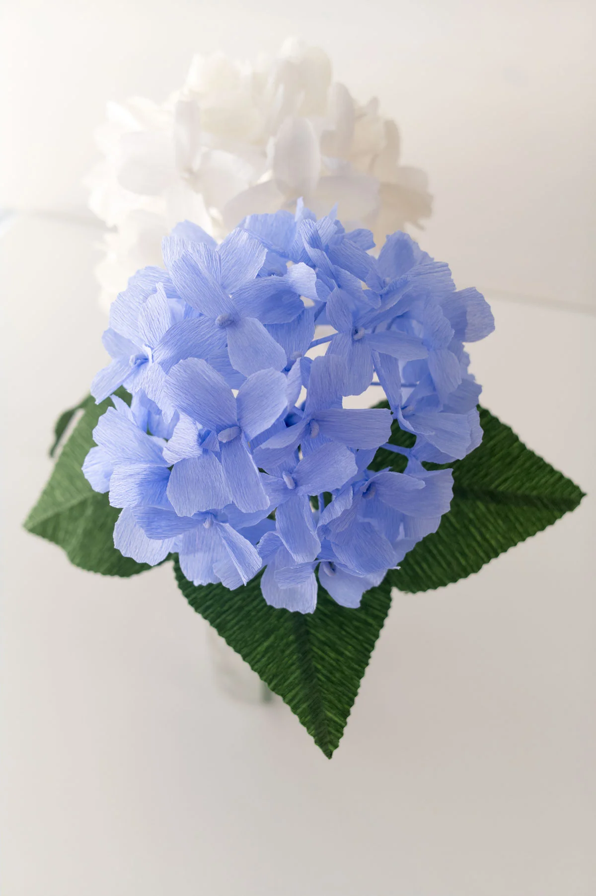 DXO_4989.jpg