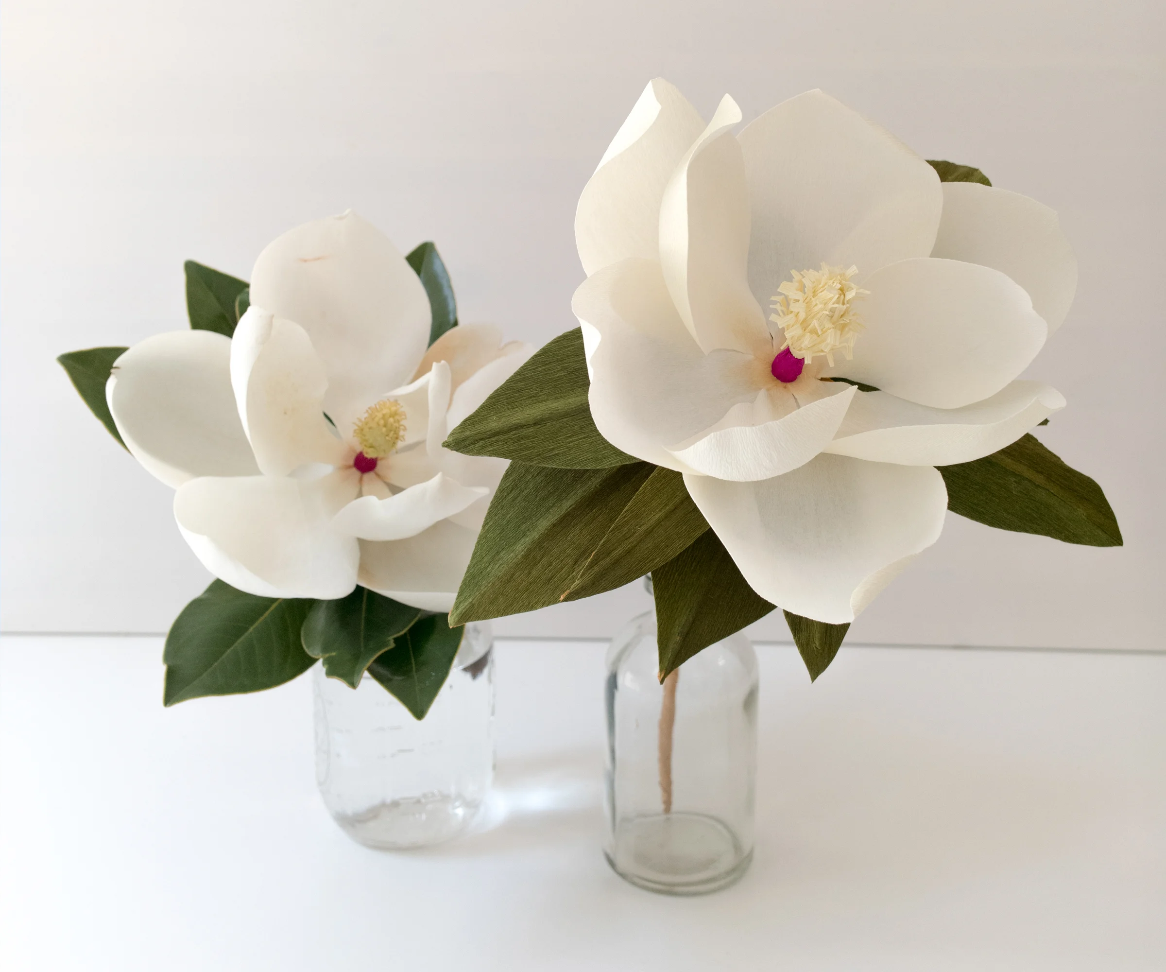 Magnolia_Header.jpg